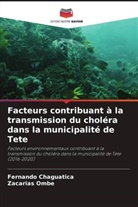 Fernando Chaguatica, Zacarias Ombe - Facteurs contribuant à la transmission du choléra dans la municipalité de Tete