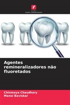 Mansi Baviskar, Chinmaya Chaudhary - Agentes remineralizadores não fluoretados