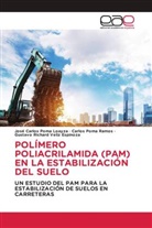 José Carlos Poma Loayza, Carlos Poma Ramos, Gustavo Richard Veliz Espinoza - POLÍMERO POLIACRILAMIDA (PAM) EN LA ESTABILIZACIÓN DEL SUELO