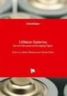 Alberto Berrueta, Alfredo Ursúa - Lithium Batteries