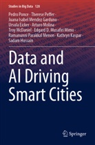Ursula Eicker, Sadam Hussain, Kathryn Kaspar, Troy McDaniel, Juana Mendez Garduno, Juana  Isabel Mendez Garduno... - Data and AI Driving Smart Cities