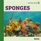 Rebecca Woodbury M. Ed., Rebecca Woodbury Ph. D. M. Ed. - Sponges (hardcover)