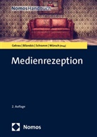Helena Bilandzic, Volker Gehrau, Holger Schramm, Holger Schramm u a, Carsten Wünsch - Medienrezeption