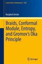 Burglind Jöricke - Braids, Conformal Module, Entropy, and Gromov's Oka Principle