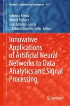Juan Moreno-Garcia, Juan Moreno-Garcia et al, Witold Pedrycz, Gilberto Rivera, J. Patricia Sánchez-Solís - Innovative Applications of Artificial Neural Networks to Data Analytics and Signal Processing