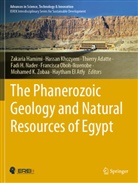 Thierry Adatte, Haytham El Atfy, Zakaria Hamimi, Hassan Khozyem, Fadi H. Nader, Francisca Oboh-Ikuenobe... - The Phanerozoic Geology and Natural Resources of Egypt