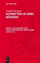 Joseph Dietzgen - Joseph Dietzgen: Schriften in drei Bänden - Band 2: Die Zukunft der Sozialdemokratie. Briefe über Logik u. a.