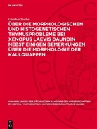 Günther Sterba - Über die Morphologischen und histogenetischen Thymusprobleme bei Xenopus Laevis Daundin nebst einigen Bemerkungen über die Morphologie der Kaulquappen