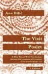 Ana Bilic - The Visit / Posjet