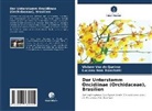 Luciano Bem Bianchetti, Viviane Vaz de Queiroz - Der Unterstamm Oncidiinae (Orchidaceae), Brasilien