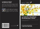 Luciano Bem Bianchetti, Viviane Vaz de Queiroz - La Subtribu Oncidiinae (Orchidaceae), Brasil