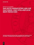 Richard Arwed Pfeifer - Das rote Kernsystem und die Haltungs- und Stellreflexe beim Menschen