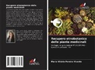 Maria Vitória Pereira Vicente - Recupero etnobotanico delle piante medicinali