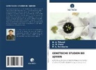 A M Patel, A. M. Patel, D L Sundesha, D. L. Sundesha, H A Trivedi, H. A. Trivedi - GENETISCHE STUDIEN BEI AJWAIN