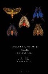 Sarah Gamble, Anna Watz, Sarah Gamble, Sarah (Swansea University Gamble, Gamble Sarah, Anna Watz... - Angela Carter's Pasts