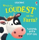 Sam Taplin, Taplin Sam, Craig Shuttlewood, Shuttlewood Craig - Who''s the Loudest on the Farm?