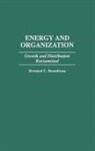 Bernard C. Beaudreau, Beaudreau Bernard C. - Energy and Organization