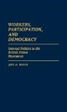 Joel Wolfe, Joel D. Wolfe - Workers, Participation, and Democracy