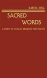 Sam D. Gill, Unknown - Sacred Words
