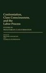 Michael Hanagan, Stephenson Charles, Michael Hanagan, Charles Stephenson - Confrontation, Class Consciousness, and the Labor Process
