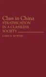Larry M. Wortzel, Wortzel Larry M. - Class in China