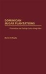 Martin Murphy, Martin F. Murphy - Dominican Sugar Plantations
