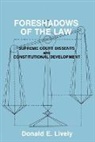 Donald E. Lively, Unknown - Foreshadows of the Law