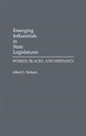 Albert Nelson, Albert J. Nelson - Emerging Influentials in State Legislatures