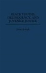 Janice Joseph, Joseph Janice - Black Youths, Delinquency, and Juvenile Justice