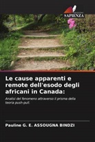 Pauline G. E. ASSOUGNA BINDZI - Le cause apparenti e remote dell'esodo degli africani in Canada: