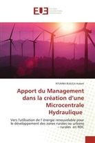 NTUMBA BUILELA Hubert - Apport du Management dans la création d'une Microcentrale Hydraulique