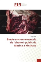 Grady Ngay - Étude environnementale de l'abattoir public de Masina à Kinshasa