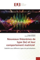 Kaoutar Ben Ouidren, Hassan Zariouh - Nouveaux théorèmes de type (bz) et leur comportement matriciel