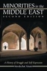 Mordechai Nisan - Minorities in the Middle East