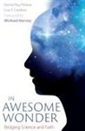 Luiz F. Cardoso, Daniel Ruy Pereira - In Awesome Wonder