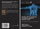 Gilberto Araujo, Frederico F. C. T. Freitas, Ágata Lages Gava - Efectos del tratamiento con plomo sobre la función renal