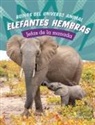 Maivboon Sang - Elefantes Hembras