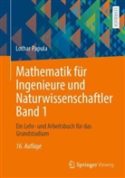 Lothar Papula - Mathematik für Ingenieure und Naturwissenschaftler Band 1