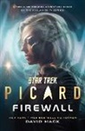 David Mack, Mack David - Star Trek: Picard: Firewall