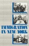 Elizabeth Bogen, Unknown - Immigration in New York