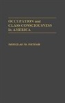 Douglas M. Eichar, Eichar Douglas M. - Occupation and Class Consciousness in America