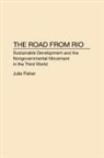 Julie Fisher - The Road From Rio