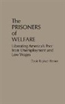 David Riemer, David R. Riemer - The Prisoners of Welfare