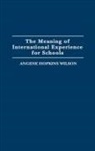 Angene H. Wilson, Angene Hopkins Wilson - The Meaning of International Experience for Schools
