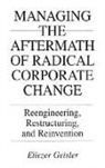 Eliezer Geisler - Managing the Aftermath of Radical Corporate Change