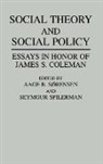 Aage Sorensen, Spilerman Seymour, Aage B. Sorensen, Seymour Spilerman - Social Theory and Social Policy