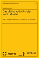 Sebastian Eckardt - Das ultima ratio-Prinzip im Strafrecht