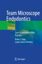 Carlos Aznar Portoles, Kehn E Yapp, Kehn E. Yapp - Team Microscope Endodontics
