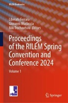 Liberato Ferrara, Giovanni Muciaccia, Niki Trochoutsou - Proceedings of the RILEM Spring Convention and Conference 2024