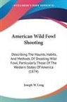 Joseph W. Long - American Wild Fowl Shooting
